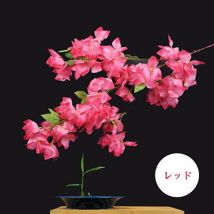   tFCNt[ TN  e[uAWg 4Zbg 100cm t[AWg CeAt[ tFCN   Ή t  u^ Xܑ X