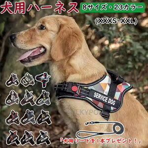 ybgp[ht  n[lX ėp  ߉\ SȂ  y ^ Ȃ ȒP bV h~ pn[lX [h ^ ^ X|[cn[lX U