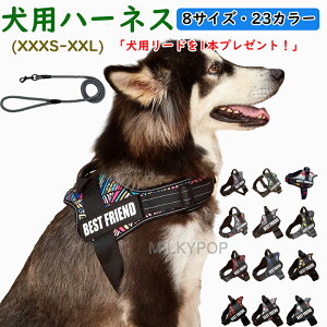  n[lX ėp Ԕ ʋC  ߉\ SȂ  y ^ Ȃ ȒP bV h~ pn[lX [h ^ ^ X|[cn[lX U 