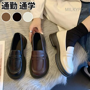 [t@[ w fB[X  Z ʊw ʋ C  uE [^[ ̎q Ǝ w \ Zj[ 22.5cm-25cm w RC[t@[ ɂȂ ɂ 炩 _