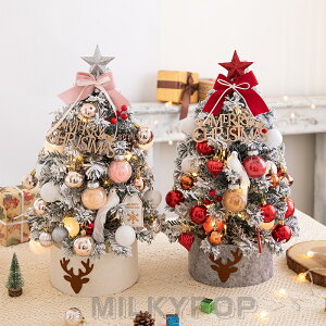 LEDCg NX}Xc[ 2025  k ^ 45cm 60cm ~jc[ NX}X 펞_/_ŃCg LEDC~l[V I[ig  NX}Xc[ LL 