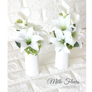 ԁ@S@J[@zCƃO[@NO.202251