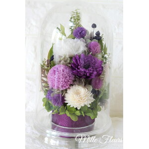 �؂₩���� �� �v���U�[�u�h�t�����[ ������ ������� ���� ���� ���d �͂�Ȃ� �� �r�������� ����� �l�\��� ������� ���d ���d�p ���~ �V�~ ���~ ���ފ� �@�� �y�b�g ���� �Z�b�g ���ԃh