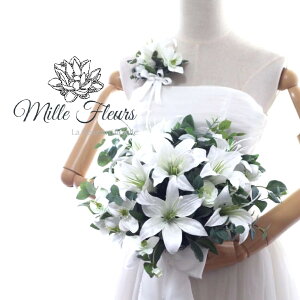 S@Nb`u[P u[gjAZbg {[u[PyEFfBOu[PzyuC_u[Pzyu[P@ԁzy@u[Pz no.202312