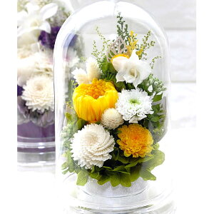؂₩d vU[uht[     d ͂Ȃ  r  l\  d dp ~ V~ ~ ފ @ ybg  Zbg ԃh[