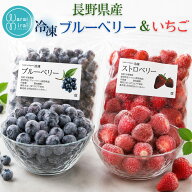 ブルーベリー いちご ストロベリー 冷凍 国産 フルーツ 300g 600g 選べる 2セット 産地直送 送料無料 冷…