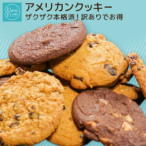 クッキー 訳あり クッキー詰め合わせ 大容量 送料無料 アメリカンクッキー 3種類セット お取り寄せ 大量 業務用 バタークッキー チョコチップクッキー オーツチョコ レーズン チョコレート