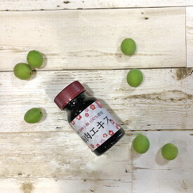 梅肉エキス 長野県 竜峡小梅 100% 使用 スプーン付き 40g 梅 梅肉 ばいにく ばいにくえきす 梅エキス 有機 濃縮 無添加 国産 ムメフラール 小梅 こうめ 健康 青梅 梅練り クエン酸 梅ジャム 栄養 おすすめ 料理 送料無料 送料込み ポイント消化 ペースト 完熟