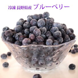 ブルーベリー 産地直送 国産 長野県産 冷凍 フルーツ たっぷり 大容量 600g 送料無料 冷凍ブルーベリー 冷凍果実 果物 スムージー ブルーベリージャム ジュース ミックスベリー 健康 スーパーフード お取り寄せ 自宅用 業務用 冷凍ベリー アントシアニン