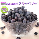 ブルーベリー 産地直送 国産 長野県産 冷凍 フルーツ たっぷり 大容量 700g 送料無料 冷凍ブルーベリー 冷凍果実 果物…