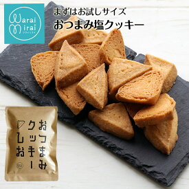 お試しセット 塩クッキー 大人のための クッキー ビスコッティ おやつ かわいい お菓子 詰め合わせ お祝い おつまみ 焼き菓子 送料無料 プレゼント お取り寄せ スイーツ バタークッキー 絶品 洋菓子 人気 詰め合わせ cokkie やきがし