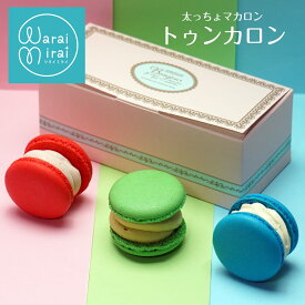 トゥンカロン 太っちょマカロン 3個入 クリスマス 早割 2025 ギフト プレゼント 小麦不使用 マカロン スイーツギフト かわいい おしゃれ 韓国 スイーツ グルテンフリー 個包装 送料無料 可愛い 美味しい 詰め合わせ マカロンタワー お取り寄せスイーツ おいしい 菓子折り