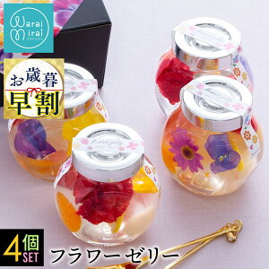 erЉ Ε  2025 a Mtg t[ t[c [[ XC[c v[g lߍ킹   킢 erЉ 4 n[oE W  XC[c