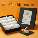 市田柿 干し柿 お中元 御中元 個包装 12個入 高級 化粧箱 ギフト 誕生日 プレゼント 贈答用 食品 食べ物 干柿 ほしがき ほし柿 干しがき いちだ柿 柿 送料無料 グルメ 通販 人気 ランキング 内祝 ドライフルーツ いちだがき グルメ 内祝い 果物 お見舞い 快気祝