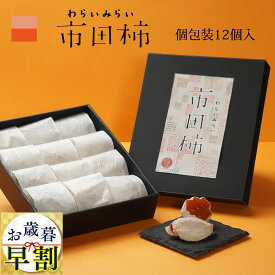 お歳暮 御歳暮 早割 市田柿 干し柿 ギフト 個包装 12個入 高級 化粧箱 誕生日 プレゼント 贈答用 食品 食べ物 干柿 ほしがき ほし柿 干しがき いちだ柿 柿 送料無料 グルメ 通販 人気 ランキング 内祝 ドライフルーツ いちだがき グルメ 内祝い 果物 お見舞い 快気祝