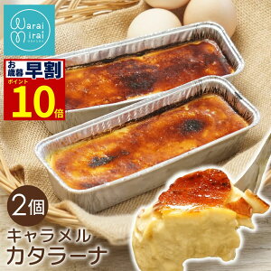 a Mtg J^[i Ⓚ v  XC[c u 2{ َq Ε 2025 ACX lߍ킹 L P[L O i Z  p ACXv lC 