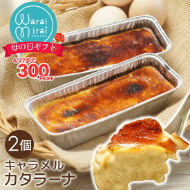 誕生日 ギフト カタラーナ 冷凍 プリン お取り寄せ スイーツ ブリュレ 2本 お菓子 母の日 早割 2026 アイス 詰め合わせ キャラメル ケーキ グルメ 濃厚 送料無料 自宅用 アイスプリン 人気 おしゃれ 可愛い 洋菓子 クレームブリュレ ネット限定 贈答 美味しい