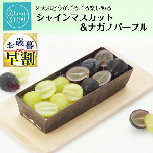 Ε  2025 VC}XJbg  iKmp[v P[L  v a Mtg J^[i XC[c u t[c J^[i Ⓚ v lߍ킹 Ε v