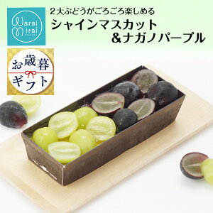 Ε 2025 VC}XJbg  iKmp[v P[L  v a Mtg J^[i XC[c u t[c J^[i Ⓚ v lߍ킹 v[g O