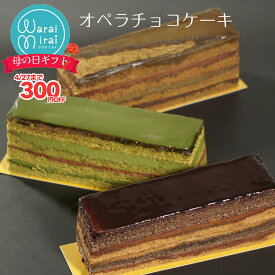 チョコケーキ オペラ ケーキ 誕生日 ギフト 選べる コーヒー 抹茶 ほうじ茶 高級 チョコレートケーキ スイーツギフト プレゼント ケーキ 抹茶チョコ お取り寄せ スイーツ 送料無料 ショコラ 内祝 チョコレート バースデーケーキ 水引 箱入り 母の日 早割 濃厚ショコラ
