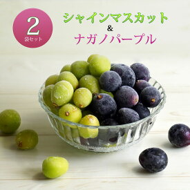 楽天市場 ナガノパープルの通販