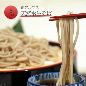 年越しそば 送料無料 そば 信州そば 生そば 木曽屋 蕎麦 2袋 6人前 つゆ付き お試し 自宅用 セット 蕎麦 お取り寄せ お土産 グルメ めんつゆ付 そば湯 生めん 生タイプ 信州産そば粉 100% 国産 観光地応援 信州蕎麦 信州産生そば なまそば ざる 蕎麦セット 長野 ソバ 人気