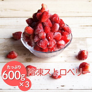  Ⓚ  Y 쌧Y t[c Ղ e 600g 3  Zbg Ⓚ Ⓚʎ C`S  ʕ X[W[ Xgx[ Xgx[W Ă 󂠂 ~bNX