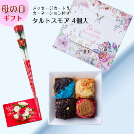 お菓子 母の日 プレゼント 早割 プレゼント メッセージカード カーネーション 付き タルト ケーキ スモア 4個入 常温 おしゃれ 個包装 ガトーショコラ ヘーゼルナッツ スイーツ チョコミント レモン 菓子折り 詰め合わせ お祝い チョコ 焼き菓子 送料無料 お取り寄せ