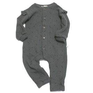 y1{in the family ACUt@~[ xr[z BLANCAjbgp[X O[(GRAY)