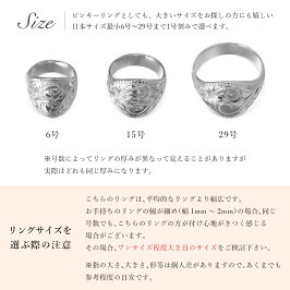ハワイアンジュエリーペアリング【ペア価格】コインエッジスクロールリング刻印無料誕生石送料無料6号〜29号大きいサイズSR701P指輪楽ギフ_包装楽ギフ_名入れ
