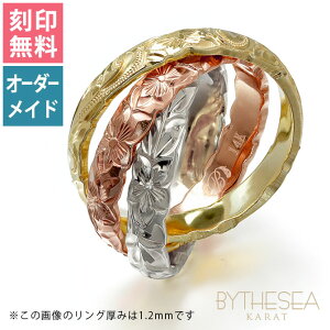 nCAWG[ I[_[Ch S[hO 󖳗 OAO 3A w I[_[Ch3AJ[ K14O  WG[ S[h nCAO S[hO n