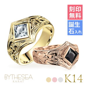 nCAWG[ I[_[Ch S[hO 󖳗 aΓ(L) w K14 14 ubNzCgWRjA 6`29 傫TCY 󒍐Y @[WO O |