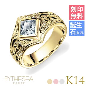 nCAWG[ I[_[Ch S[hO 󖳗 aΓ(L) w K14 14 XNGAWRjA 6`29 傫TCY 󒍐Y @[WO O | Y 