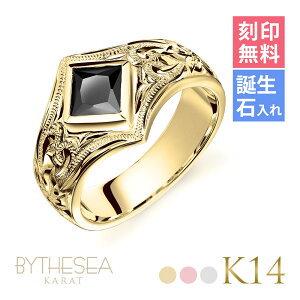 nCAWG[ I[_[Ch S[hO 󖳗 aΓ(L) w K14 14 ubNWRjA 6`29 傫TCY 󒍐Y @[WO O | Y 