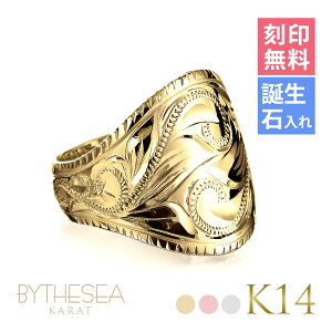 nCAWG[ I[_[Ch S[hO 󖳗 aΓ(L) w K14 14 RCGbWO 6`29 傫TCY 󒍐Y @[WO O | Y 