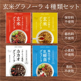 【焙煎玄米 食物繊維 低GI 無添加】玄米グラノーラ 4種セット（フルーツ＆ナッツミックス / メープル / 乳酸菌 / カカオ）【幸福米穀株式会社 オーツ麦 米油(国産) 玄米粉(国産) フルグラ かぼちゃの種 ヒマワリの種 ダイエット 小麦不使用 シリアル】