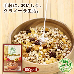 スーパー大麦グラノーラの通販 価格比較 価格 Com