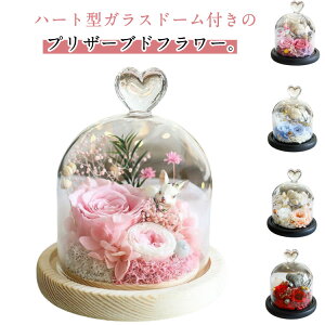 n[g^ Ď  t[Mtg  c Mtg ͂Ȃ  KXh[ hV̓ v[g ʂ t[AW vU[uht[  Fl җj N}  v