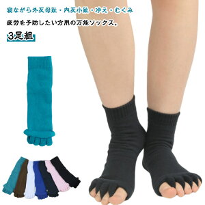 O 3g 5{w\bNX L wT|[^[ wZp[^[ AQp 3g wJ wI[vi[ w w\bNX \h ނݑ΍ 5{w w \bNX [\bN