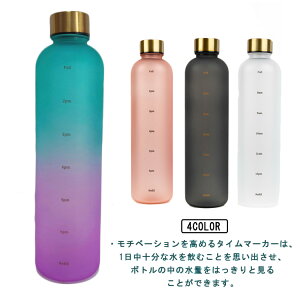 ^C}[J[t EH[^[{g X|[cEH[^[{g  1000ml 1bg  y Of[VJ[ ⋋ W X|[c e