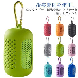 クールタオル 冷感タオル ひんやり 部活 暑さ対策 ケース付き 熱中症対策 首 アウトドア ヨガ 冷却タオル 子供 冷たい スポーツタオル スポーツ 登山 ひんやりタオル 2個セット 父の日 プレゼント 実用的 サッカー 野球 カラビナケース付き