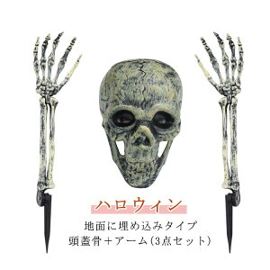 [  nEB A[ f ͌^ l` W ߍ nEB  XPg  hN   p[eB[  nEB ] 3_Zbg Cxg  u