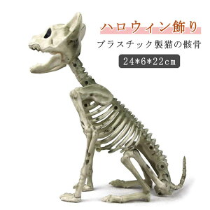 Aj} lR u z[ ˂ nEB L  nEB L̊[   IuWF  hN [ t 蕨  p[eB[ Cxg   O   wZ X