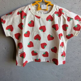 いちご 柄 セットアップ 半袖 ショートパンツ 上下セット ホワイト レッド 総柄 ストロベリー 2点セット 短パン Tシャツ パンツ 薄手 白 赤 80cm 90cm 100cm 子供服 こども服 こどもふく 韓国子供服 ベビー キッズ 女の子 男の子 春 夏 秋 冬 可愛い お洒落