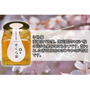 Rc݂͂@Y疨 100gyn`~c/I/͂/ʔ́z