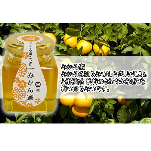 Rc݂͂@Y݂ 100gyn`~c/I/͂/ʔ́z