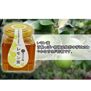 Rc݂͂@C^AY 100gyn`~c/I/͂/ʔ́z