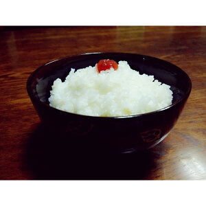 y݁zkLI̎Rāu_̗́v1kg˔C~݁i/đI\jyR͔|kz