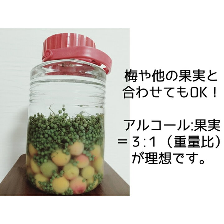 楽天市場】ウマブドウ冷凍果実900g（焼酎漬け約3.6L分）(葉っぱ舎 