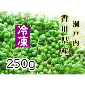 ウマブドウ冷凍果実250g（焼酎漬け約1L分）(葉っぱ舎)【うまぶどう/馬ぶどう/馬ブドウ】